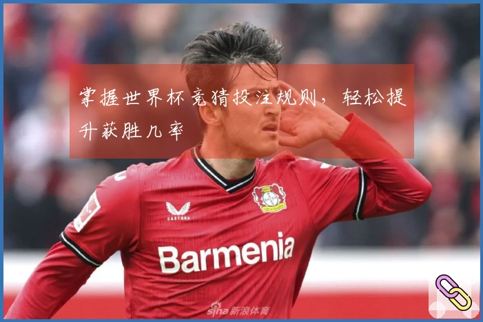 掌握世界杯竞猜投注规则，轻松提升获胜几率