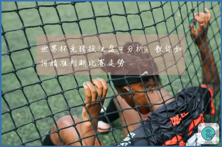 世界杯竞猜投注盘口分析，教你如何精准判断比赛走势