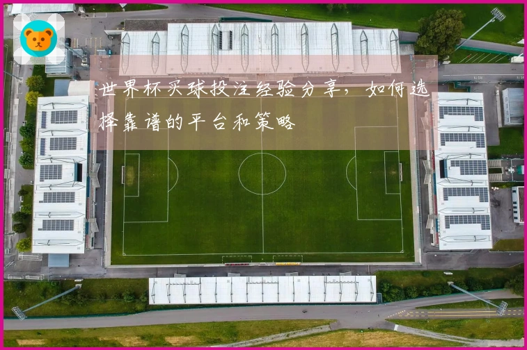 世界杯买球投注经验分享，如何选择靠谱的平台和策略