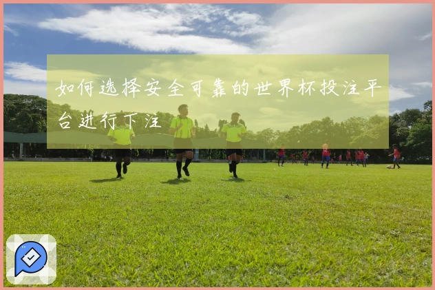 如何选择安全可靠的世界杯投注平台进行下注