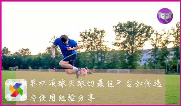 世界杯滚球买球的最佳平台如何选择与使用经验分享