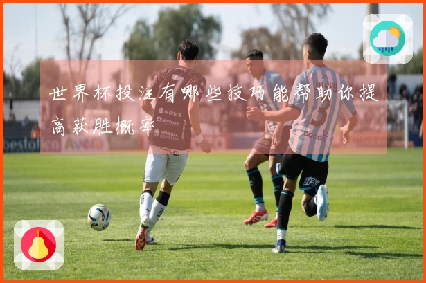 世界杯投注有哪些技巧能帮助你提高获胜概率