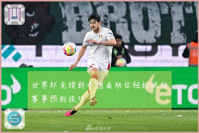 世界杯竞猜新手指南助你轻松玩转赛事预测技巧