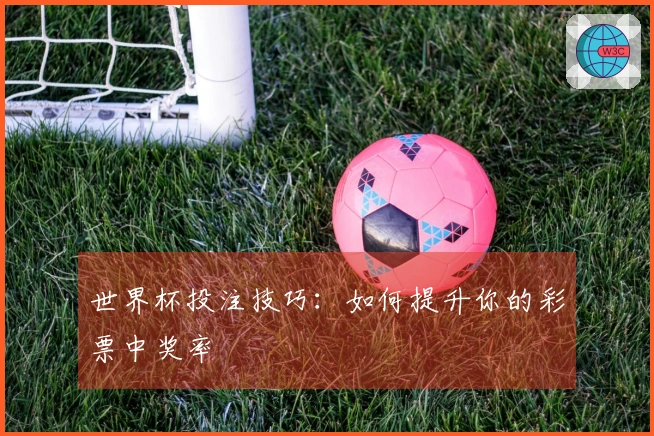 世界杯投注技巧：如何提升你的彩票中奖率