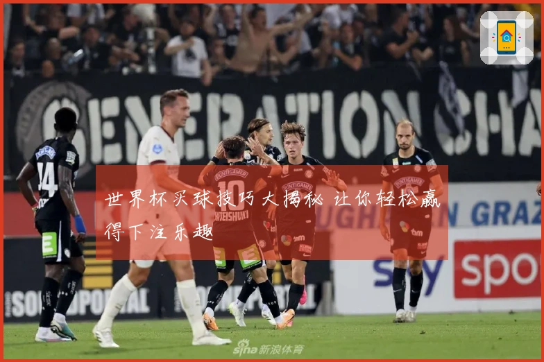 世界杯买球技巧大揭秘 让你轻松赢得下注乐趣