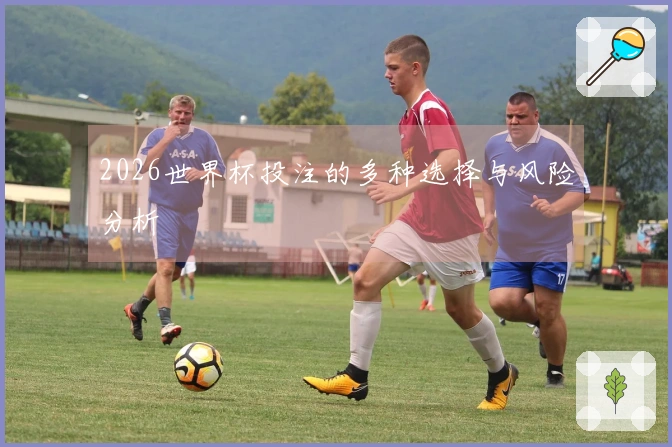 2026世界杯投注的多种选择与风险分析