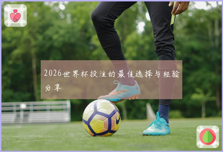 2026世界杯投注的最佳选择与经验分享