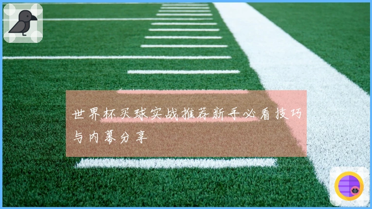 世界杯买球实战推荐新手必看技巧与内幕分享