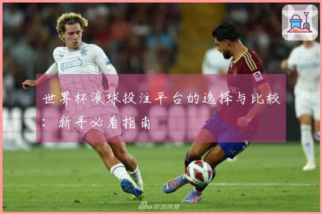 世界杯滚球投注平台的选择与比较：新手必看指南