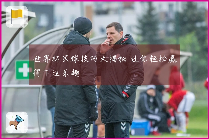 世界杯买球技巧大揭秘 让你轻松赢得下注乐趣