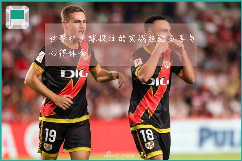 世界杯买球投注的实战经验分享与心得体会