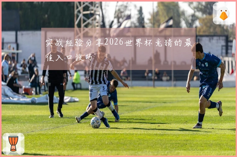 实战经验分享2026世界杯竞猜的最佳入口技巧