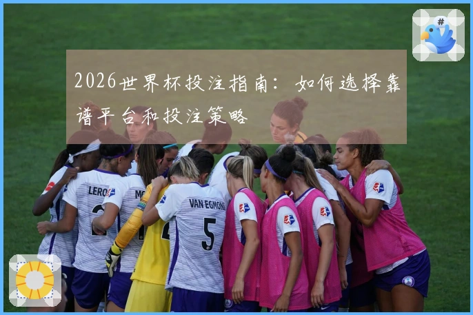 2026世界杯投注指南：如何选择靠谱平台和投注策略