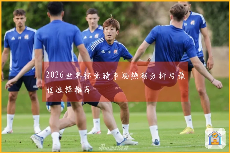 2026世界杯竞猜市场热潮分析与最佳选择推荐